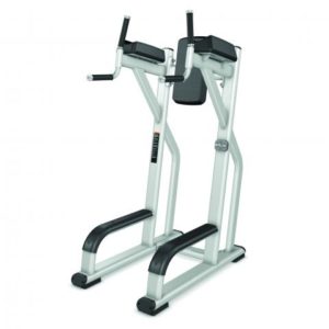 Precor – Vertical Knee Up