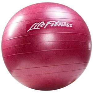 Life Fitness Stability Balls
