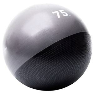 Life Fitness Stability Balls