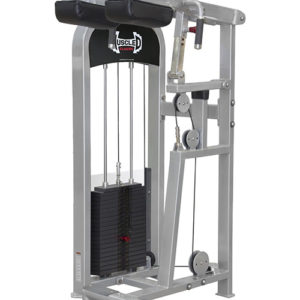 Muscle D Fitness- Strength Training STANDING CALF